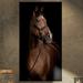 East Urban Home 'Horse Portrait' Photographic Print on Wrapped Canvas Metal in Black/Brown | 32 H x 16 W x 1 D in | Wayfair