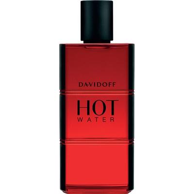 Davidoff Hot Water Eau de Toilette (EdT) Natural Spray 110 ml Parfüm