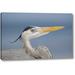 Highland Dunes 'FL, Sanibel Great heron in breeding plumage' by Arthur Morris Giclee Art Print on Wrapped Canvas in Blue | Wayfair