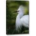 World Menagerie 'FL Snowy egret in breeding plumage' by Arthur Morris Giclee Art Print on Wrapped Canvas in Green/White | Wayfair