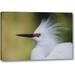 World Menagerie 'FL Snowy egret in breeding plumage' by Arthur Morris Giclee Art Print on Wrapped Canvas in Green/White | Wayfair