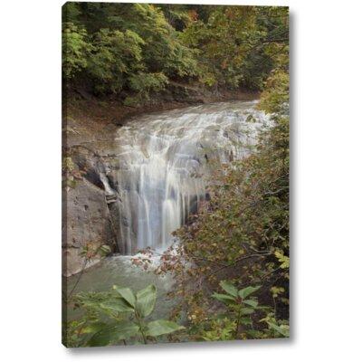 Winston Porter 'Hokkaido Waterfall - 2' by Alan Blaustein Giclee Art Print on Wrapped Canvas in Green | 24 H x 16 W x 1.5 D in | Wayfair
