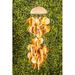 Bay Isle Home™ Coconut Shell Wind Chime Stone, Wood in Yellow | 17 H x 5 W x 5 D in | Wayfair 4130D8857A6E44FDBF9ED5A877EBA7A0