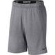 Nike Herren Dry Trainings Shorts, grau, XL-52/54