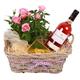 The Gift Box Fresh Rose plant Rose wine and chocolates