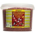 Tropical Koi und Goldfisch Colour Sticks, 1er Pack (1 x 11 l)