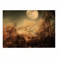 Kess eigene Sylvia COOMES Full Moon Braun Nature Dog Tischset, 33 x 45,7 cm