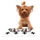 Kess eigene Skye Zambrana Napf Schweizer Kreuz weiß Tisch-Sets für Hunde und Katzen Futterschüsseln, 24 von 15 Zoll, einfache Leuchte