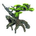 Wave A8011687 Japan Bonsai