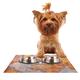 Kess eigene Sylvia Cook Napf "Travel Map Tisch-Sets für Hunde und Katzen Futterschüsseln, 18 von 33 cm, World