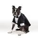 East Side Collection yappily Ever After Groom Tux, 2 x -small