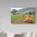 Ebern Designs 'Camel & His View' Photographic Print on Wrapped Canvas Metal in Brown/Green | 22 H x 32 W x 2 D in | Wayfair