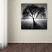 Winston Porter 'Lightning Tree I' Photographic Print on Wrapped Canvas in Black/Green/White | 18 H x 18 W x 2 D in | Wayfair