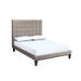 Brayden Studio® Mccann Low Profile Platform Bed Upholstered/Velvet/Metal in Brown | 61 H x 81.3 W x 87 D in | Wayfair