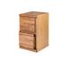 Loon Peak® Braunstein 2-Drawer Vertical Filing Cabinet Wood in Brown | 30 H x 22 W x 21 D in | Wayfair A10E85A94980498FB5797553DA38763A