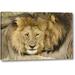 World Menagerie Kenya, Masai Mara Two Lions Resting Face to Face by Dennis Kirkland - Photograph Print on Canvas in Gray | Wayfair