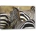 World Menagerie Kenya, Masai Mara Zebra w/ Oxpecker Birds by Dennis Kirkland - Photograph Print on Canvas in Black/Brown | Wayfair