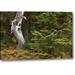 Millwood Pines 'Wa, Mount Rainier Np Spooky Ghost Tree' Photographic Print on Wrapped Canvas in Green | 10 H x 16 W x 1.5 D in | Wayfair