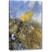 Millwood Pines Colorado, Pike NF Frozen Aspen Leaf on Rock by Don Grall - Graphic Art Print on Canvas in Blue/Green | 16 H x 11 W x 1.5 D in | Wayfair