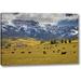 Millwood Pines 'Co, Uncompahgre Nf, Hastings Mesa Cattle Grazing' Photographic Print on Wrapped Canvas in Blue/Green | Wayfair