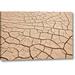 World Menagerie Arizona, Gila Bend Dried River- Bottom Mud by Don Paulson - Photograph Print on Canvas in Brown | 32 H x 21 W x 1.5 D in | Wayfair