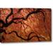 World Menagerie Oregon, Portland Japanese Maple by Don Paulson - Photograph Print on Canvas Metal in Black/Red | 21 H x 32 W x 1.5 D in | Wayfair