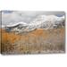 Millwood Pines Co, Gunnison Nf Aspens After A Snowstorm by Don Grall - Photograph Print on Canvas in Orange/White | 21 H x 32 W x 1.5 D in | Wayfair