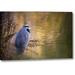 Winston Porter Wa, Seabeck Great Blue Heron at Edge of Pond by Don Paulson - Photograph Print on Canvas Metal | 21 H x 32 W x 1.5 D in | Wayfair