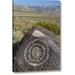 World Menagerie New Mexico, Three Rivers, Petroglyph On Rock by Don Paulson - Photograph Print on Canvas in Gray/Green | Wayfair