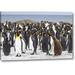 World Menagerie South Georgia Isl King Penguin Chick by Don Paulson - Photograph Print on Canvas in Black/Gray | 21 H x 32 W x 1.5 D in | Wayfair