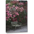 Winston Porter 'Sc, Charleston a Weathered Bench Under Azaleas' Photographic Print on Wrapped Canvas in Green/Pink | 32 H x 21 W x 1.5 D in | Wayfair
