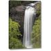 Millwood Pines TN, Foster Falls Wild Area Waterfall Scenic by Don Grall - Photograph Print on Canvas in Gray/Green | 32 H x 21 W x 1.5 D in | Wayfair