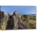 World Menagerie New Mexico, Three Rivers Petroglyph Etchings by Don Paulson - Photograph Print on Canvas in Gray/Green | Wayfair