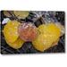 Millwood Pines 'Co, Uncompahgre Nf Frozen Water on Aspen Leaves' Photographic Print on Wrapped Canvas in Gray/Yellow | Wayfair