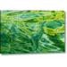 Ebern Designs Ak, Glacier Bay Np, Dundas Bay Abstract Of Water by Don Paulson - Graphic Art Print on Canvas in Green | Wayfair