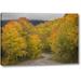 Winston Porter 'Co, San Juan Nf Autumn Aspen Trees & Road' Photographic Print on Wrapped Canvas in Green/Orange/Yellow | Wayfair