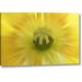 Ebern Designs Washington, Seabeck Abstract Inside Poppy Flower by Don Paulson - Photograph Print on Canvas in Yellow | Wayfair