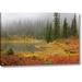 Millwood Pines 'Wa, Mount Rainier Np Fall-Colored Meadow' Photographic Print on Wrapped Canvas in Green/Red/Yellow | 10 H x 16 W x 1.5 D in | Wayfair