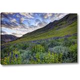 Millwood Pines 'Colorado, San Juan Mts, Flowers' Photographic Print on Wrapped Canvas Metal in Blue/Green | 21 H x 32 W x 1.5 D in | Wayfair