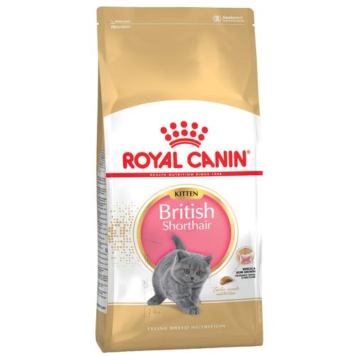 2x10kg British Shorthair Kitten Royal Canin Katzenfutter trocken