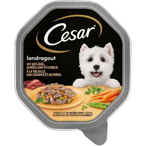 56x150g Geflügel & Gemüse in Sauce Cesar Hundefutter nass