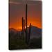 World Menagerie Arizona, Saguaro NP Sunset on Desert Landscape by Cathy - Gordon Illg - Photograph Print on Canvas in Black/Orange | Wayfair