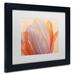 Ophelia & Co. 'Orange Glowing Tulip' Framed Photographic Art Print on Canvas Canvas, Wood | 14.5 H x 17.5 W x 1.25 D in | Wayfair
