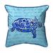 Bay Isle Home™ Tran Sea Turtle Script Outdoor Rectangular Pillow Cover & Insert Polyester/Polyfill blend | 16 H x 20 W x 6 D in | Wayfair