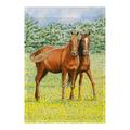 Betsy Drake Interiors Two Horses 1-Sided Polyester Garden Flag in Brown | 18 H x 12.5 W in | Wayfair FL057