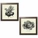 Gracie Oaks Linen Vegetable BW Sketch Beets & Lettuce by Studio Mousseau - 2 Piece Graphic Art Print Set Paper | 12 H x 12 W x 1.5 D in | Wayfair