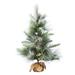 Vickerman 553732 - 4' x 25" Artificial Frosted Myers Pine Christmas Tree (D182040)