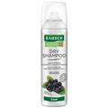 Rausch Dry Shampoo fresh Dosierspray 150 ml