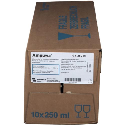 Ampuwa Glasflasche Injektions-/Infusionslösung 10x250 ml