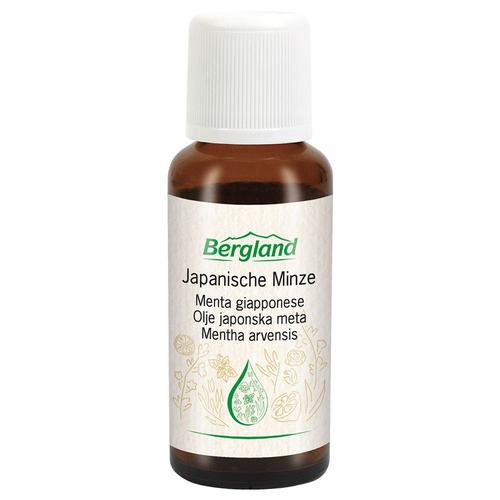 Japanisches Minzöl 30 ml Öl